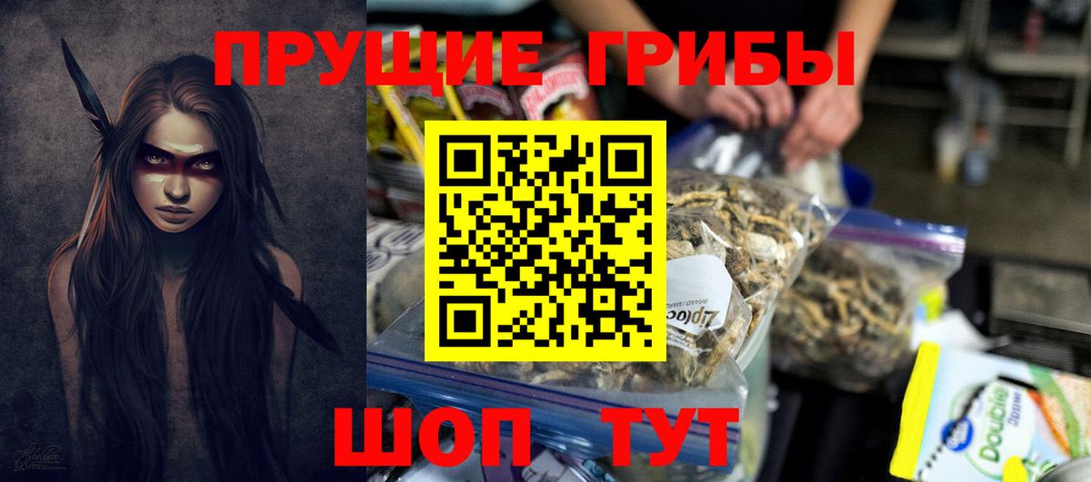 Псилоцибиновые грибы Psilocybine cubensis Новороссийск
