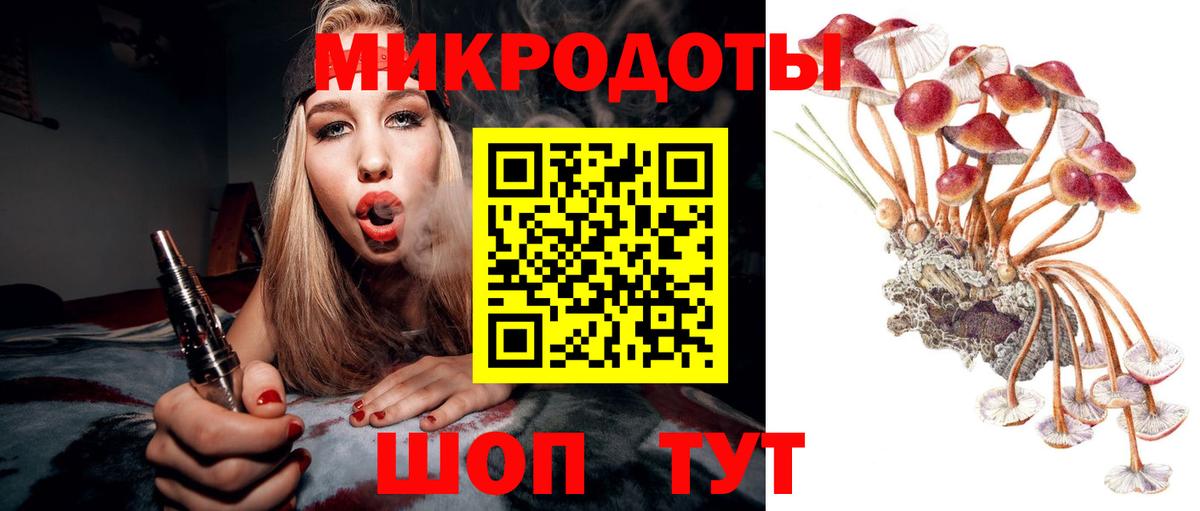 Псилоцибиновые грибы GOLDEN TEACHER  Вход с VPN  Псилоцибиновые грибы мицелий  Новороссийск 